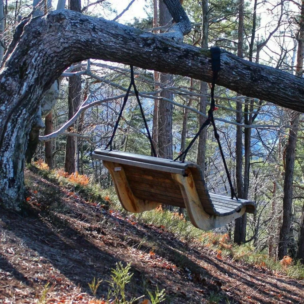  bf fb bf / Foto: Bf Bf