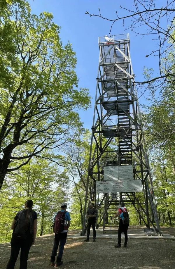  bd bf f / Foto: Bvd Bf