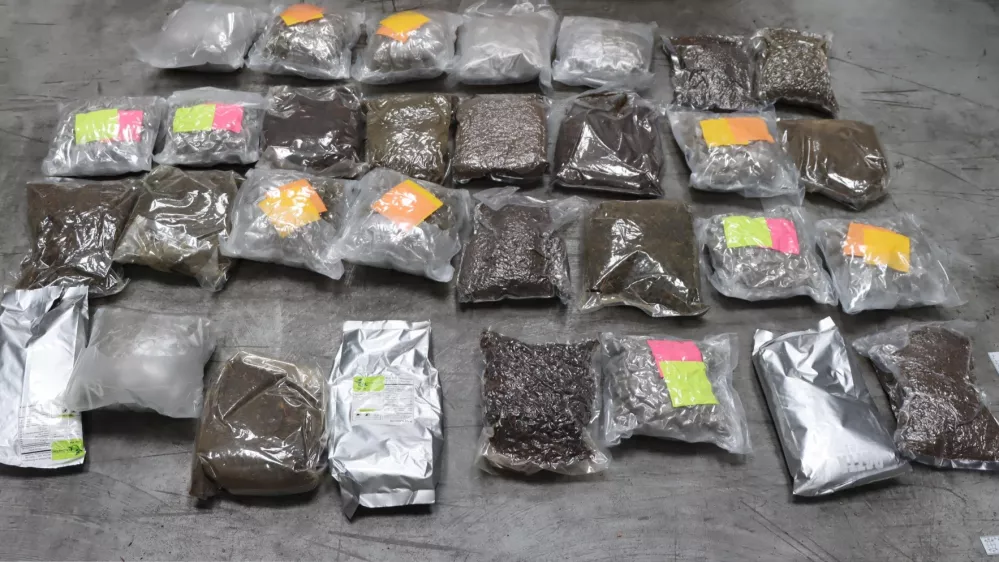 konoplja med čajem iz Tajska prek Rotterdam v Sežana / Foto: Pu Koper