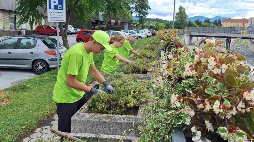 Pomoč pri delu dijakov in &scaron;tudentov med počitnicami pride poleti prav pri prenekaterem opravilu v mestu. Foto: arhiv MOC