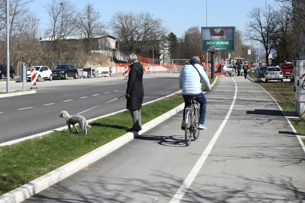 19.3.2025 - Linhartova cesta, kolesarska steza, kolesarFoto: Luka Cjuha