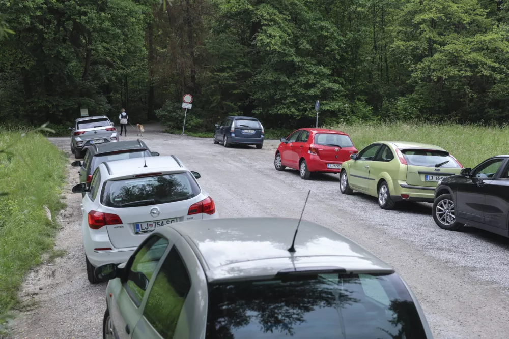 Vstopna točka v park je načrtovana na območju Kosez in živalskega vrta. Do takrat pa bodo avtomobili verjetno &scaron;e naprej parkirani kar ob cesti. Foto: Jaka Gasar