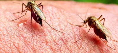 Komarji – najnevarnejša živalska vrstaDANS L'OEIL DU MOUSTIQUE / MOSQUITOS ON THE RISEfrancoska dokumentarna oddaja, 2016