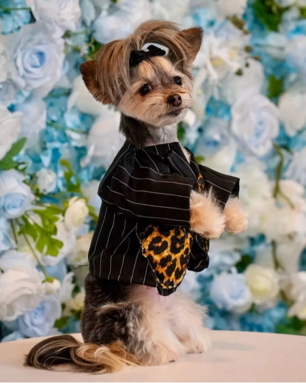 Kreacija, za katero je oblikovalec dobil navdih pri raperki Doji Cat. F IG/@anthonyrubio01