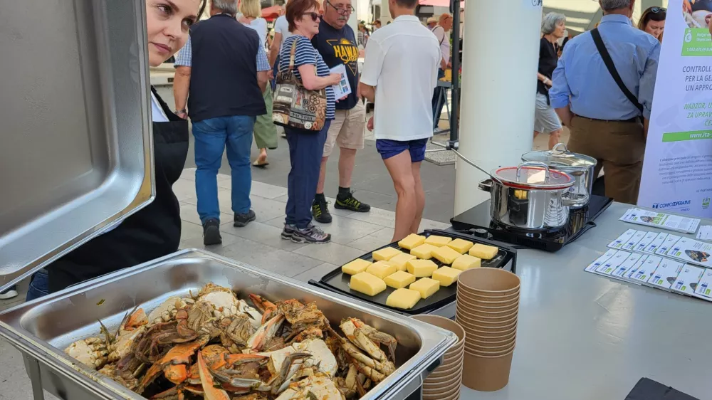 Modra rakovica, predstavitev kulinarike, koprska tržnica Koper / Foto: Katja Gle&scaron;čič 