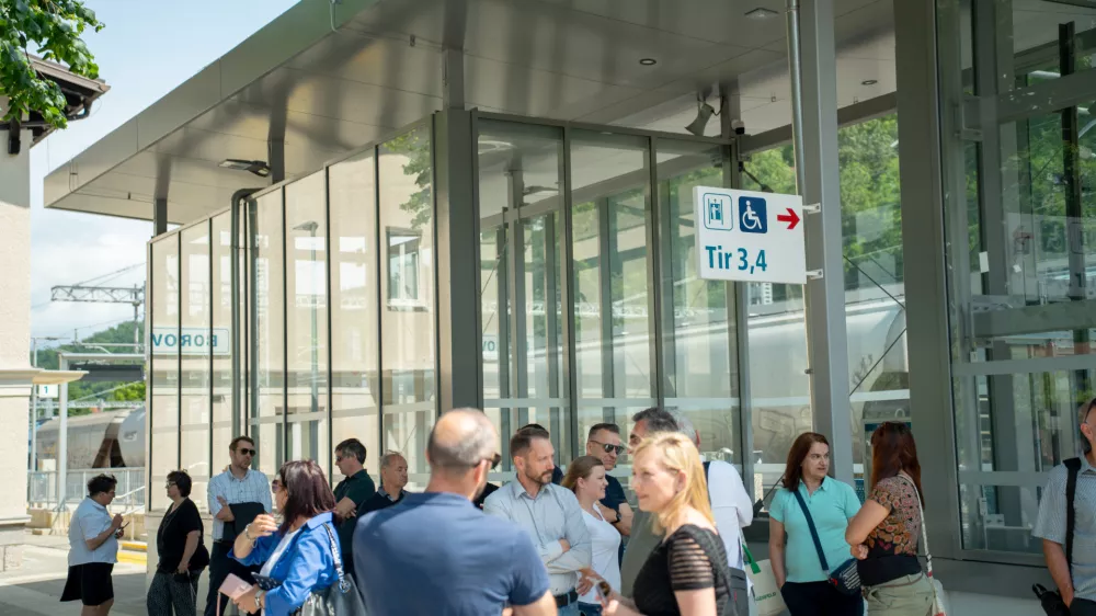 Obsežen projekt obnove postaje Borovnica je vreden skoraj 112 milijonov evrov z DDV. Foto: STA