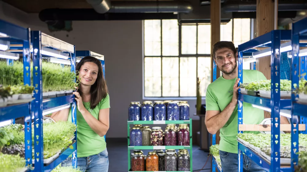 Sa&scaron;a Kržič in Bo&scaron;tjan &Scaron;ebenikmikrozelenje &Scaron;ebenik / Foto: Osebni Arhiv Mikrozelenje &Scaron;ebenik 