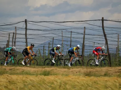 Zalec.Kolesarska dirka po Sloveniji, druga etapa od Velenja do Rogaske Slatine (157,8 km).Ubezna skupina v okolici Zalca.