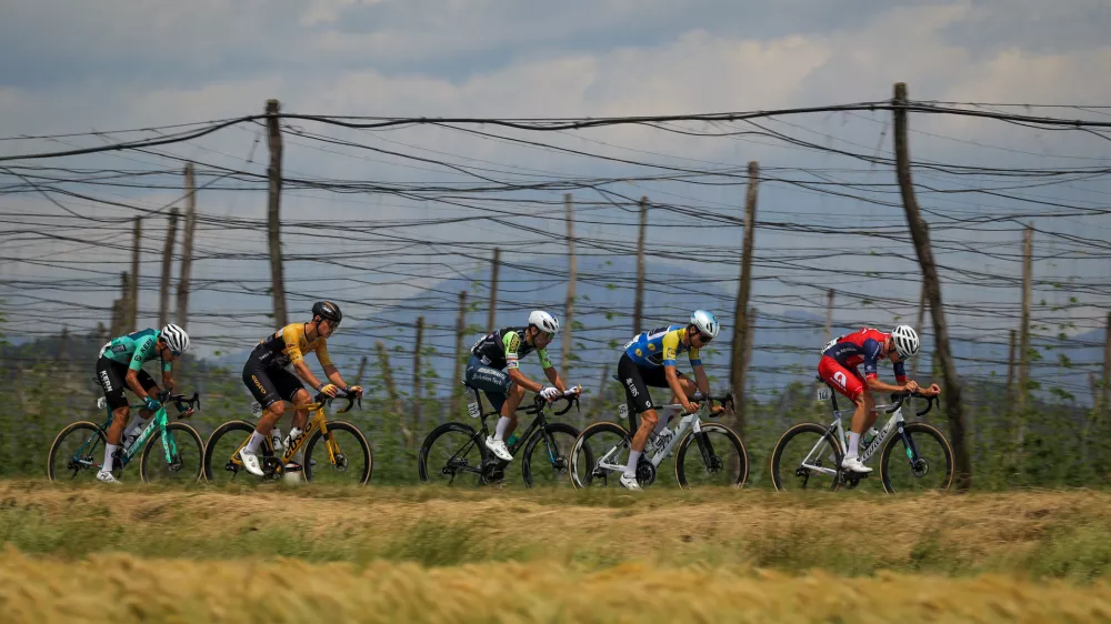 Zalec.Kolesarska dirka po Sloveniji, druga etapa od Velenja do Rogaske Slatine (157,8 km).Ubezna skupina v okolici Zalca.