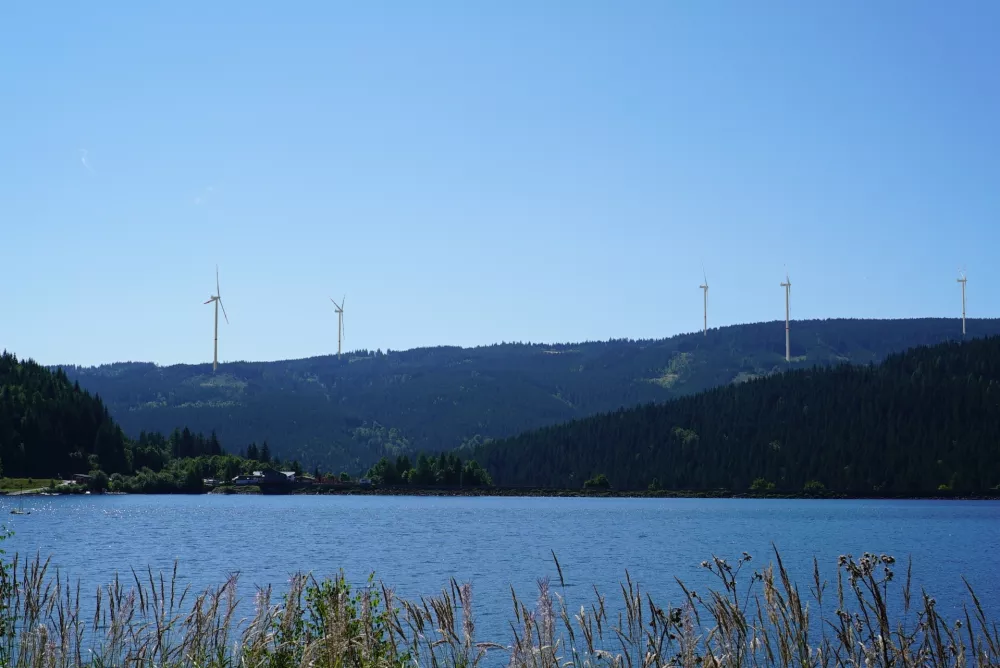 Nočno &scaron;u&scaron;tenje, ki kočarja spravi v dobro voljo