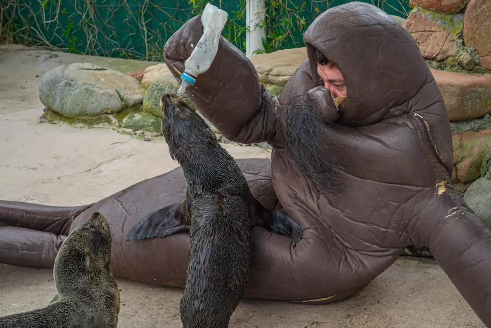 Nepoznano ni nekaj slabega