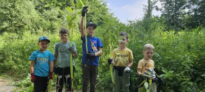 Invazivk manj kot pred štirimi leti