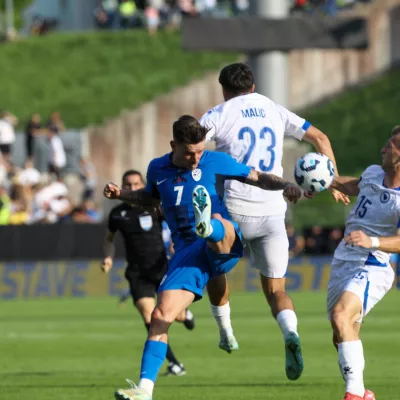 10.6.2025 nogomet Slovenija Bih BosnaFoto: Luka Cjuha