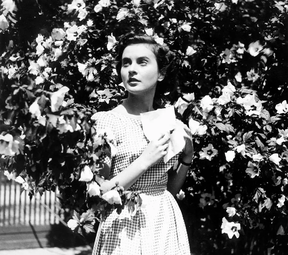 Vesna (Franti&scaron;ek Čap, 1853)------3k / Foto: 