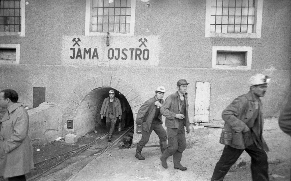 Julij je mesec za skok čez kožo