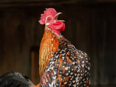 Slika je, seveda, simbolična. / Foto: Istock