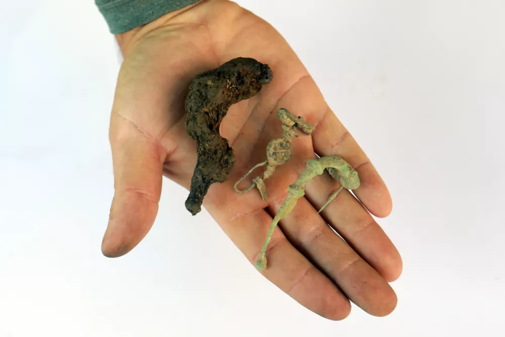 Presenetljivo odkritje na Prulah