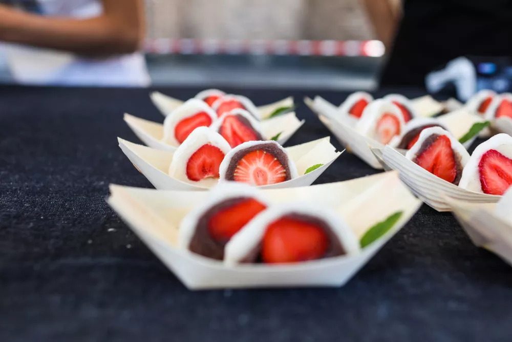 - 11.06.2022 - Dan Japonske &ndash; festival ob 30. obletnici vzpostavitve diplomatskih odnosov med Slovenijo in Japonsko -//FOTO: Bojan Velikonja / Foto: Bojan Velikonja