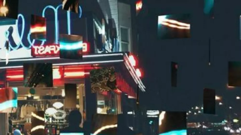 Elizabeth HardwickNespečne noči