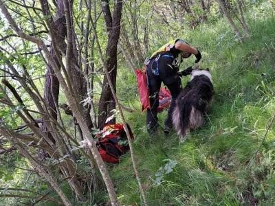 Ljubljanski gorski re&scaron;evalci so v Pungertu na pomoč priskočili psički. 