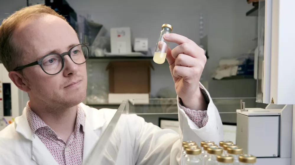 asfb asvfrbvh / Foto: Nn