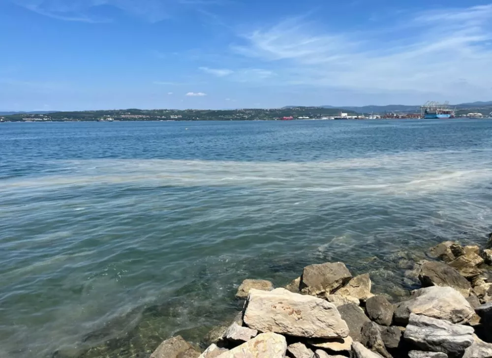 Cvetenje morja. / Foto: Kri&scaron;tof Urbančič