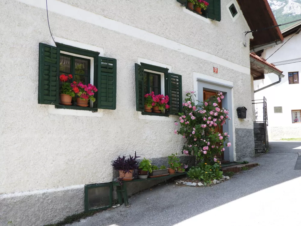 Pozabljena slovenska dolina se prebuja: zdaj je kraj, kamor se vračajo mladi