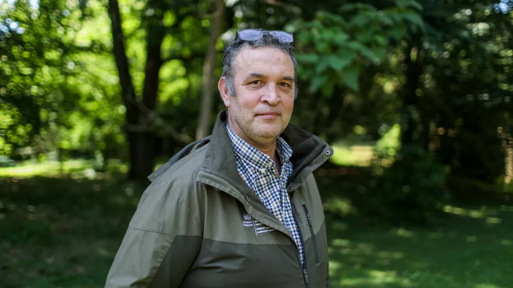 Pred 10 in več leti en napad medveda na dve leti, zdaj pa dva do tri na leto