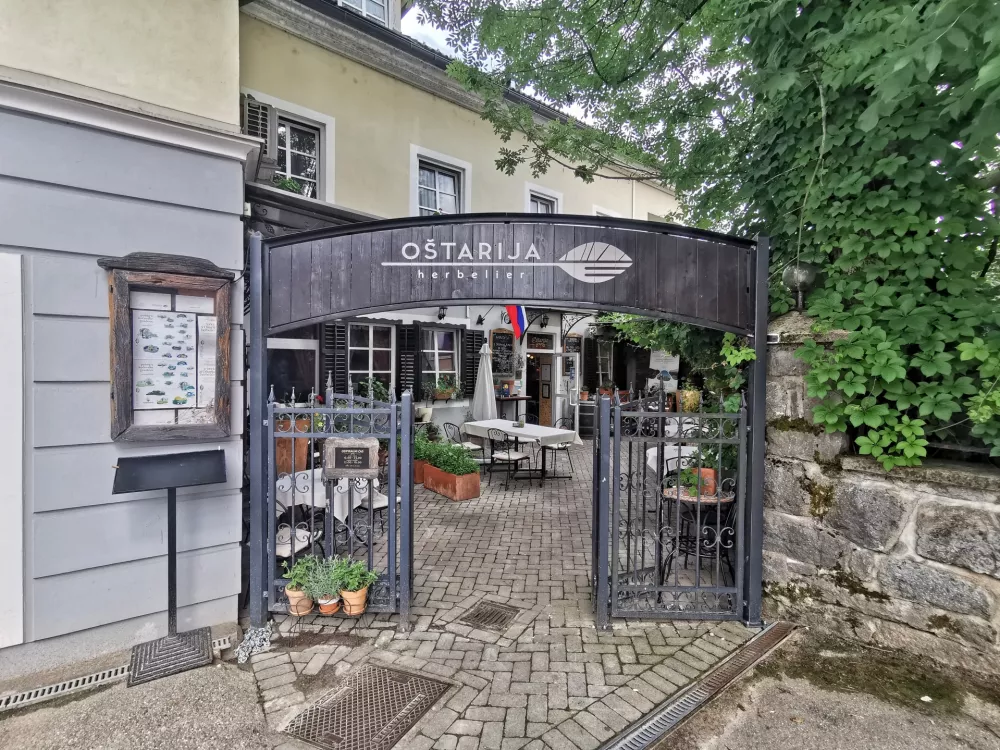 O&scaron;tarija Herbelier / Foto: Miha First