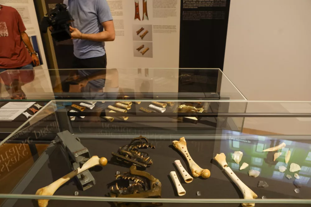 Velika razstava o majhni pi&scaron;čali