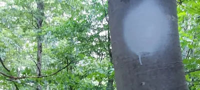 Prebarvane markacije v dolini Vrata.