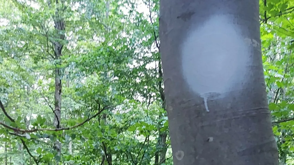 Prebarvane markacije v dolini Vrata.