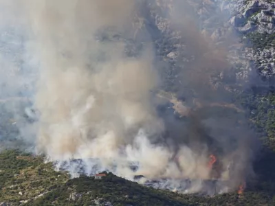 Požar je zajel makijo in drugo rastlinje. Foto: Facebook