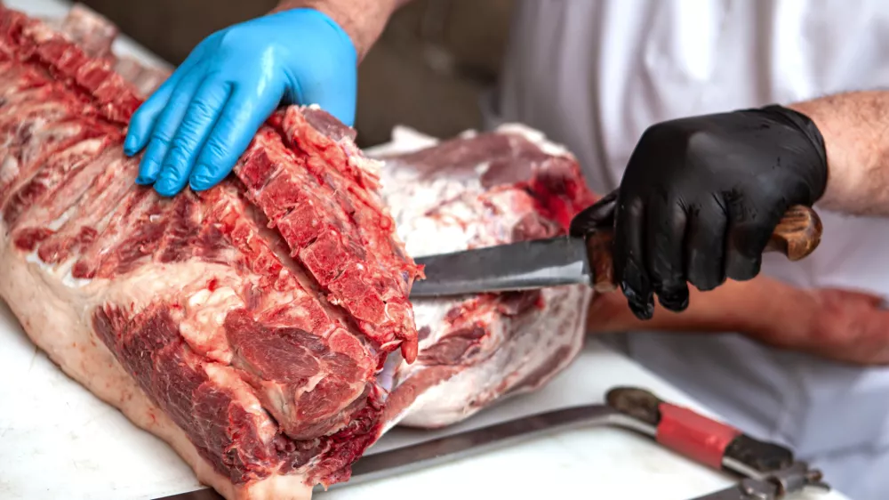 Slika je simbolična. / Foto: Istock