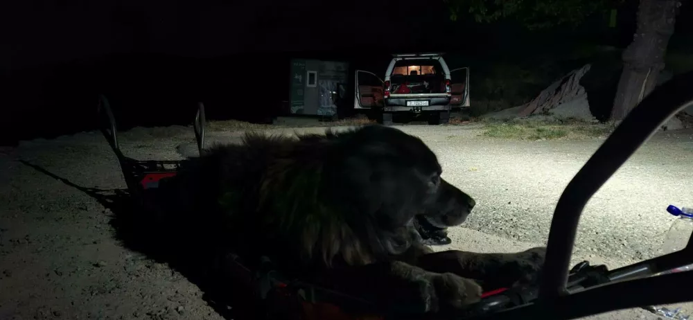 Re&scaron;evanje psa se je končalo malo po 1. uri zjutraj. Foto: HGSS Zadar 