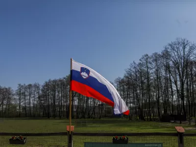 slovenska zastava12.04.2025 - Ovčarska Spring Trial 2025 &ndash; Mednarodna tekma v pa&scaron;nji ovac v Sloveniji - Klub pa&scaron;nih psov Slovenije - pasma Border CollieFoto: Luka Cjuha