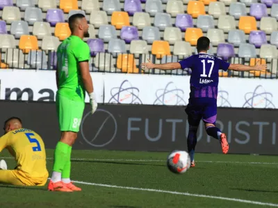 Ajdin Mulalič, Domžale