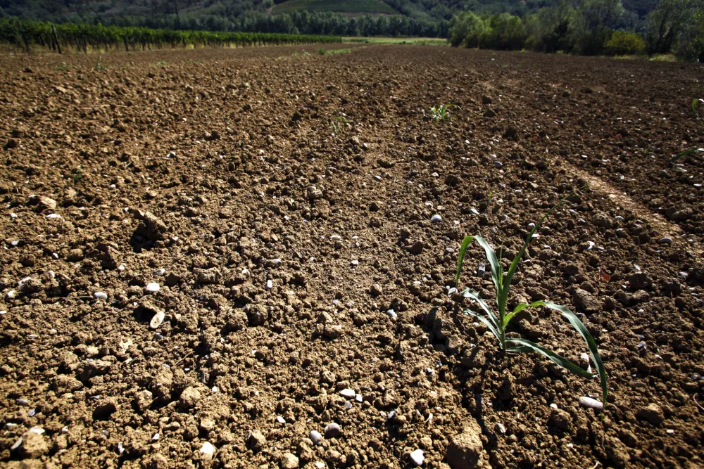 suha zemlja - kmetijsko zemlji&scaron;če - polje - Vipavska dolina 2012 - su&scaron;a      //FOTO: Jaka Gasar