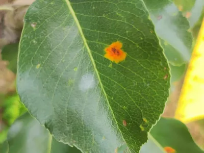 s  d ds / Foto:  S Ds S