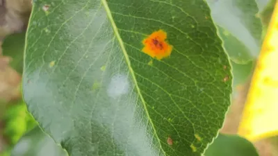 s  d ds / Foto:  S Ds S