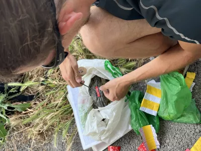 markiranje modrih rakovic za spremljanje njihovega gibanjagoto: lovrenc lipej / Foto: Lovrenc Lipej