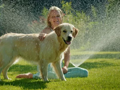 A cheerful woman sits on the grass with her Golden Retriever, both getting soaked by a water spray in a vibrant garden. The dog looks happy with its tongue out, while the woman smiles brightly. The lush greenery and blooming flowers in the background enhance the refreshing and playful scene, capturing the essence of a fun summer day outdoors. / Foto: Stockseller_ukr