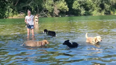 Poletje za Savo, psi, kopanje