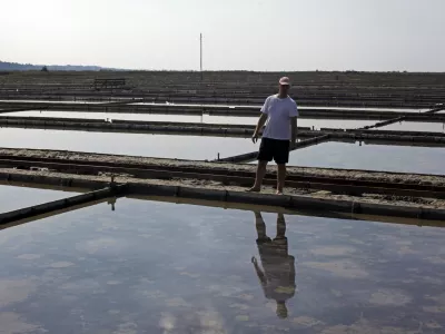 - Krajinski park Sečoveljske soline (KPSS) - Sečovlje- reportaža v Sečoveljskih solinah, Krajinskem parku in Muzeju solinarstva 2013 - //FOTO: Jaka GasarOPOMBA: ZA OBJAVO V PRILOGI - DNEVNIKOV OBJEKTIV - REPORTAŽA 2013