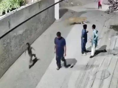 Foto: zajem zaslona/X