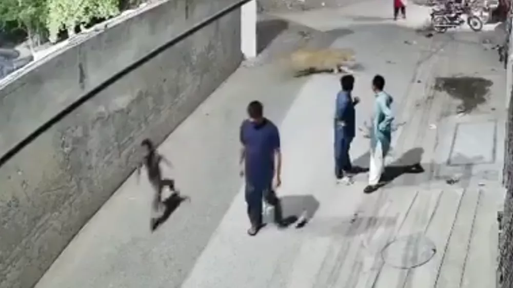 Foto: zajem zaslona/X