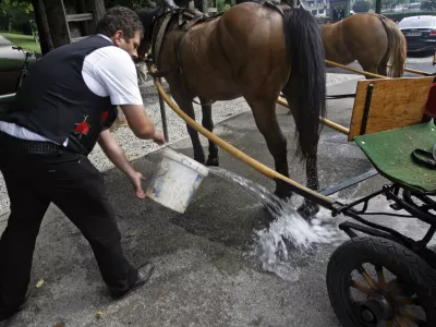 - ilustrativna fotografija - furman - kočija - voz - konjski iztrebki - konj- 7. Strate&scaron;ki forum Bled 2012 - //FOTO: Tomaž Skale