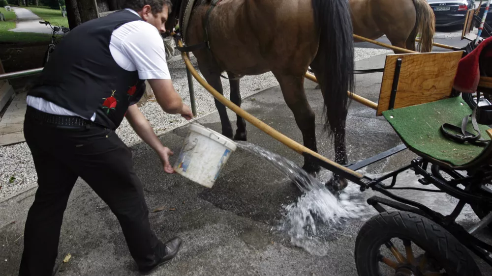 - ilustrativna fotografija - furman - kočija - voz - konjski iztrebki - konj- 7. Strate&scaron;ki forum Bled 2012 - //FOTO: Tomaž Skale
