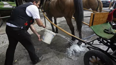 - ilustrativna fotografija - furman - kočija - voz - konjski iztrebki - konj- 7. Strate&scaron;ki forum Bled 2012 - //FOTO: Tomaž Skale