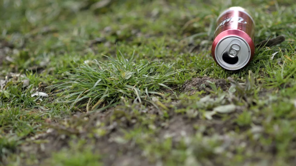 - ilustrativna fotografijaUnion,pivo,alkohol,pločevinka    //FOTO: Tomaž Zajel&scaron;nik